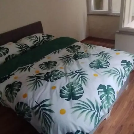 아파트 Full Privet 2+1 Flat *